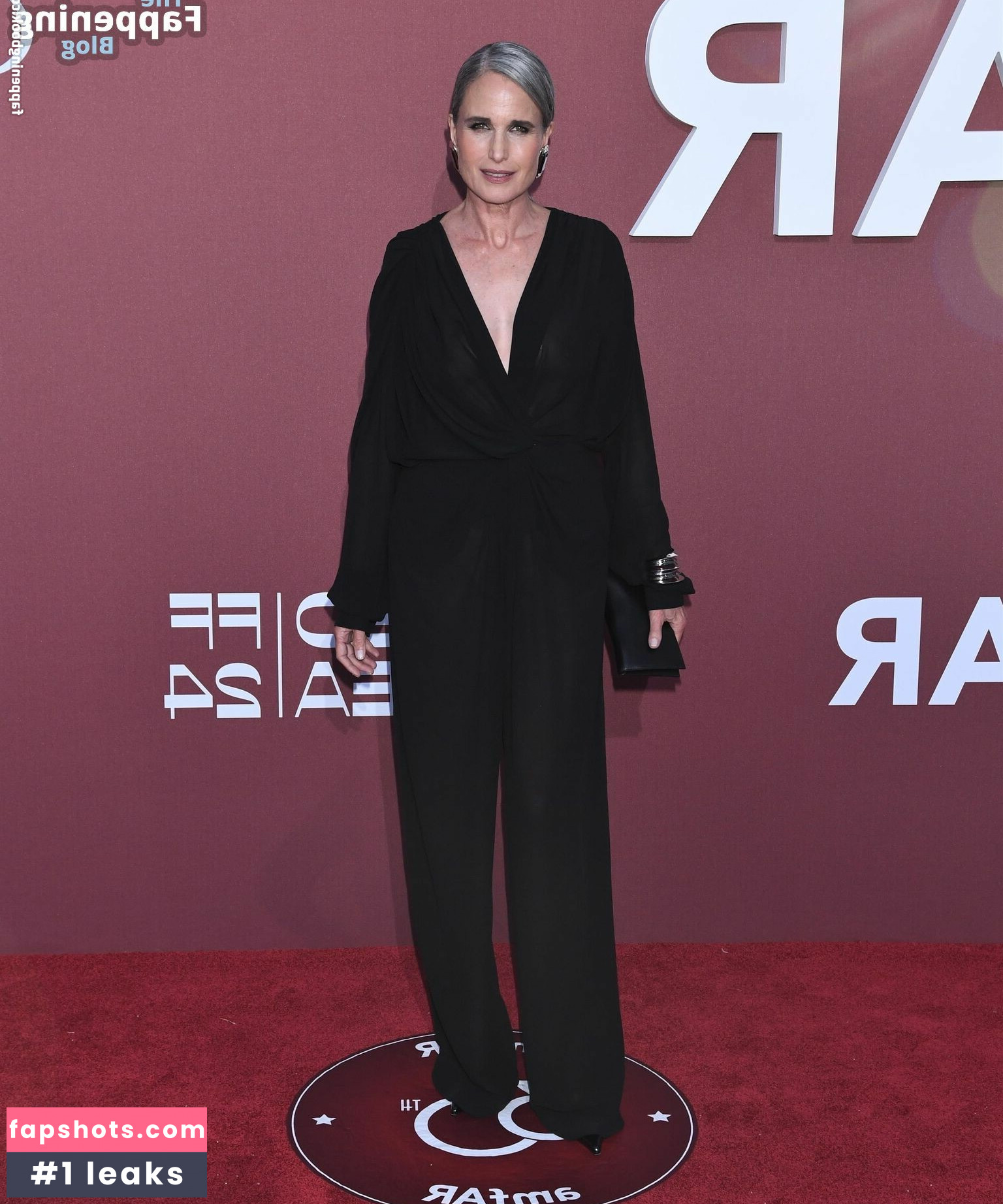 Andie MacDowell gallery photo #4