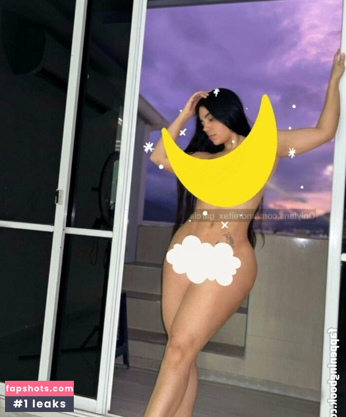 andreitaxpremium gallery photo #15