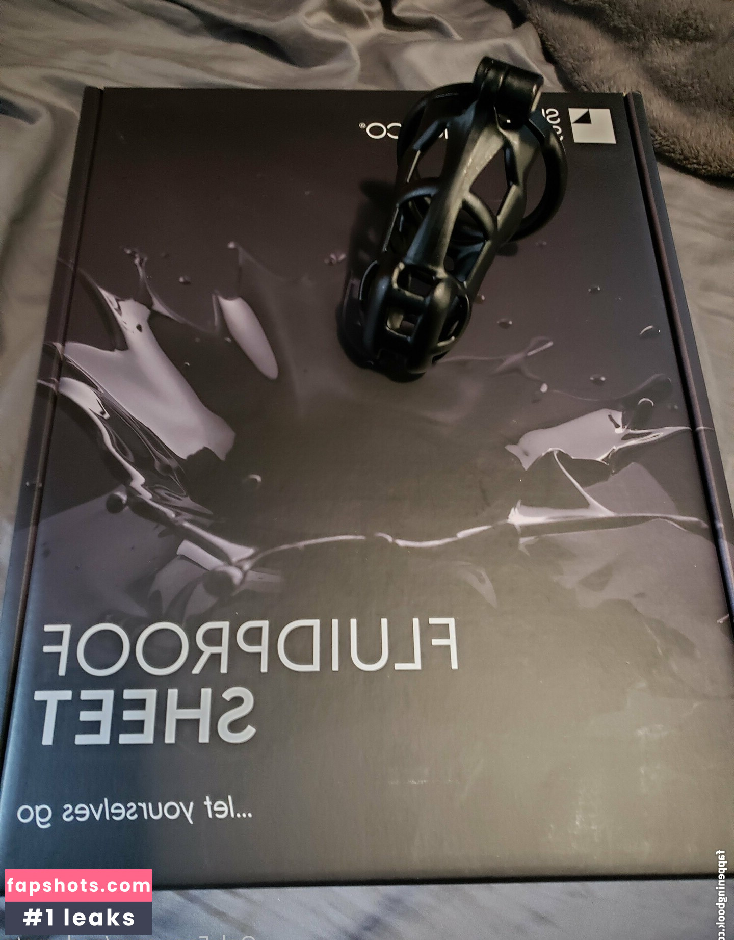 andymoto gallery photo #7