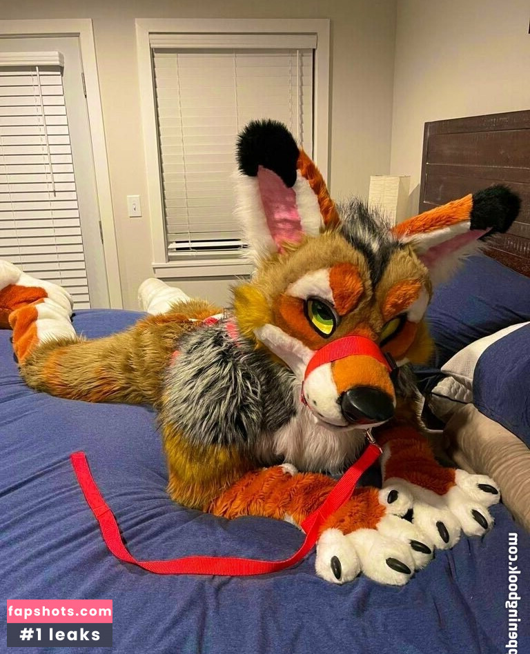 anejo_xxx_kaii gallery photo #16