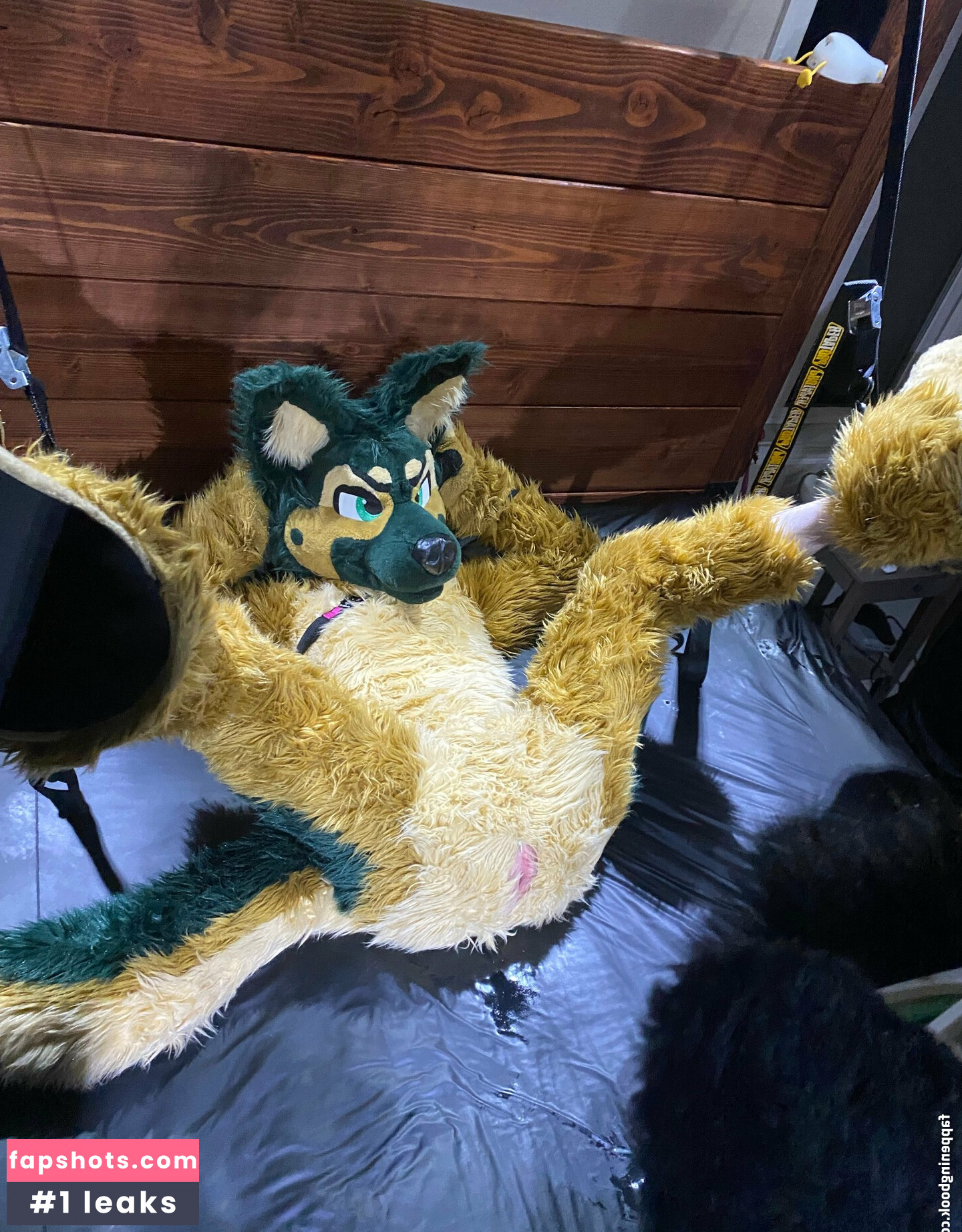 anejo_xxx_kaii gallery photo #19