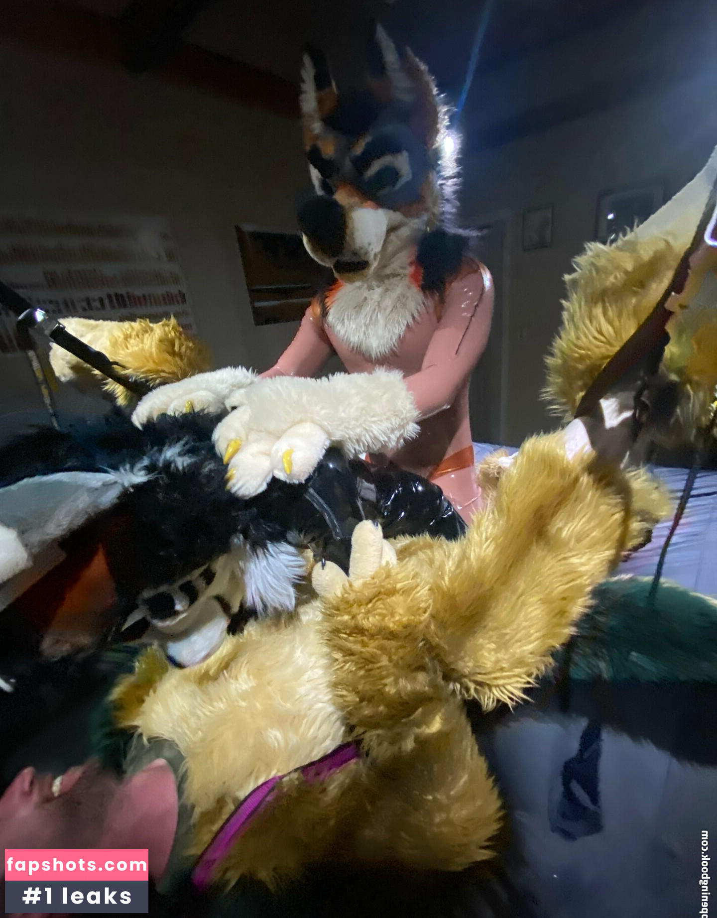 anejo_xxx_kaii gallery photo #31