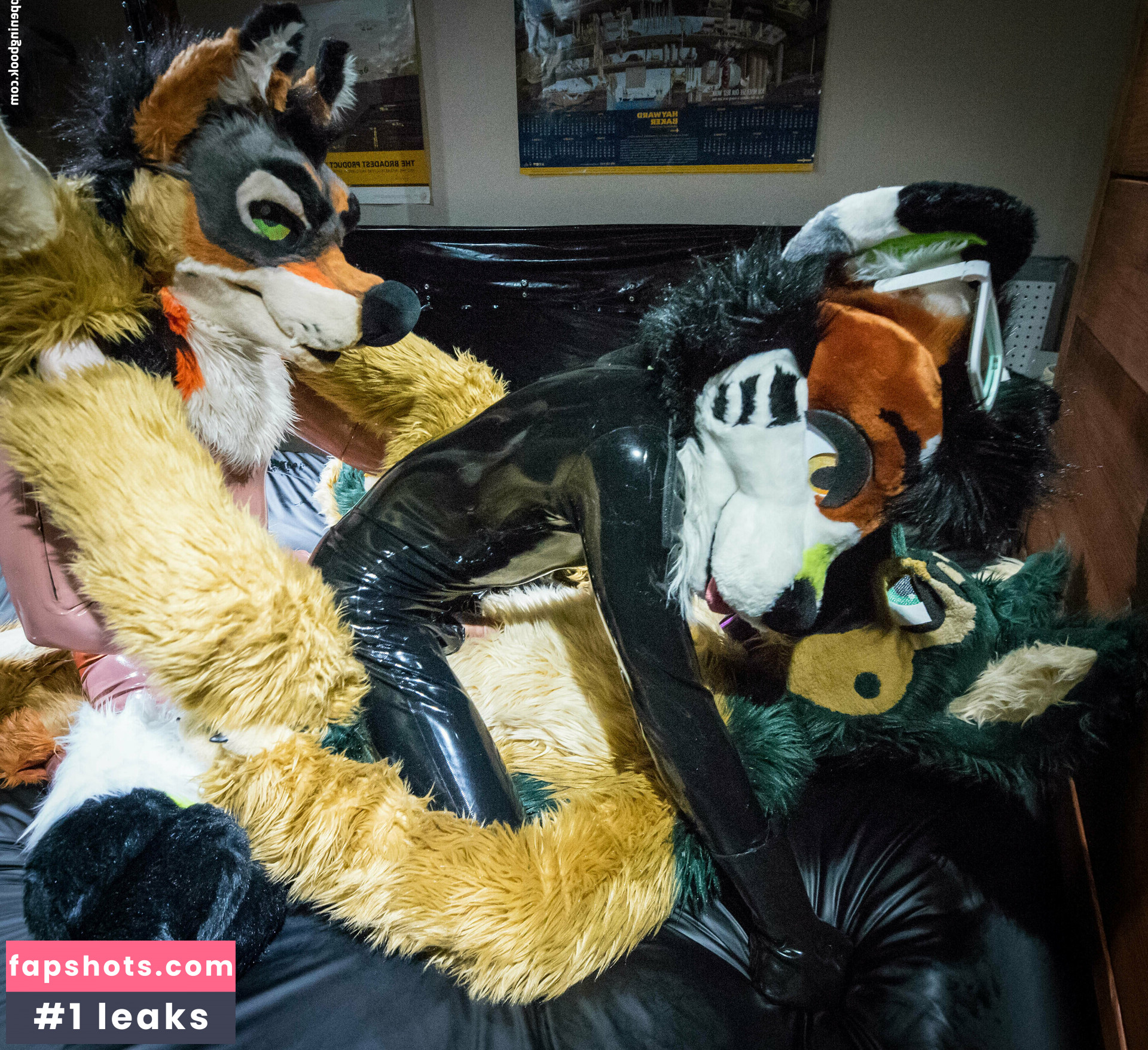 anejo_xxx_kaii gallery photo #35