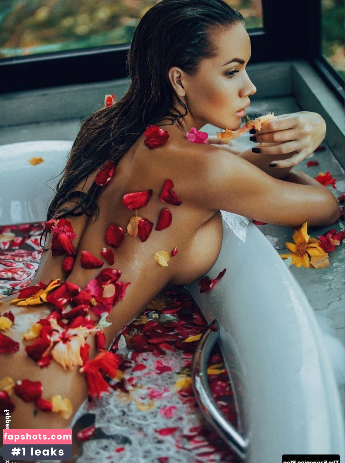 Anella Miller gallery photo #27