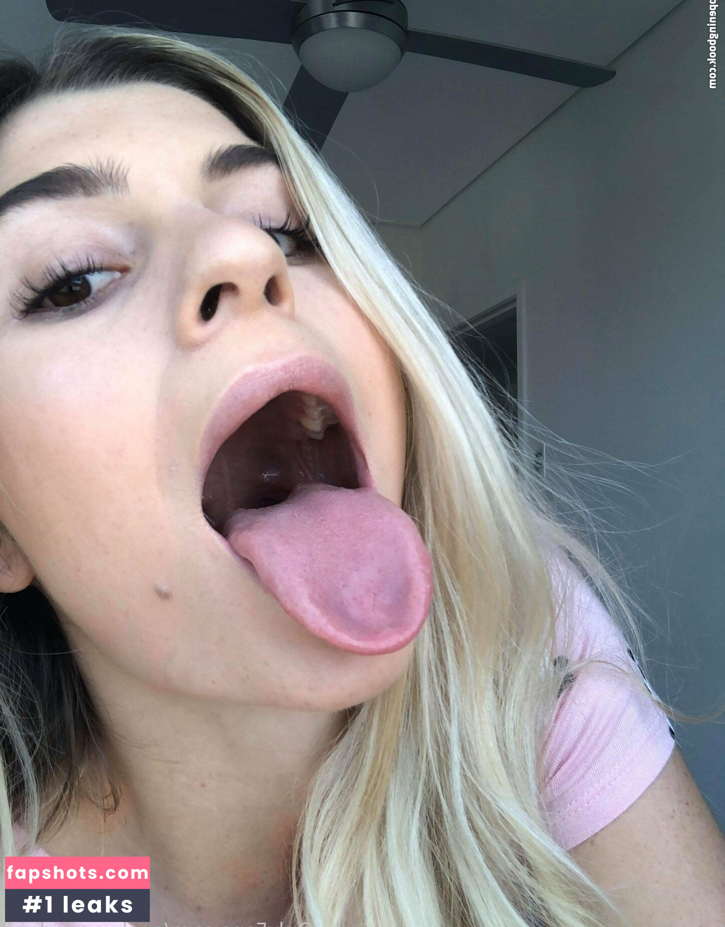 anelwonderland gallery photo #25