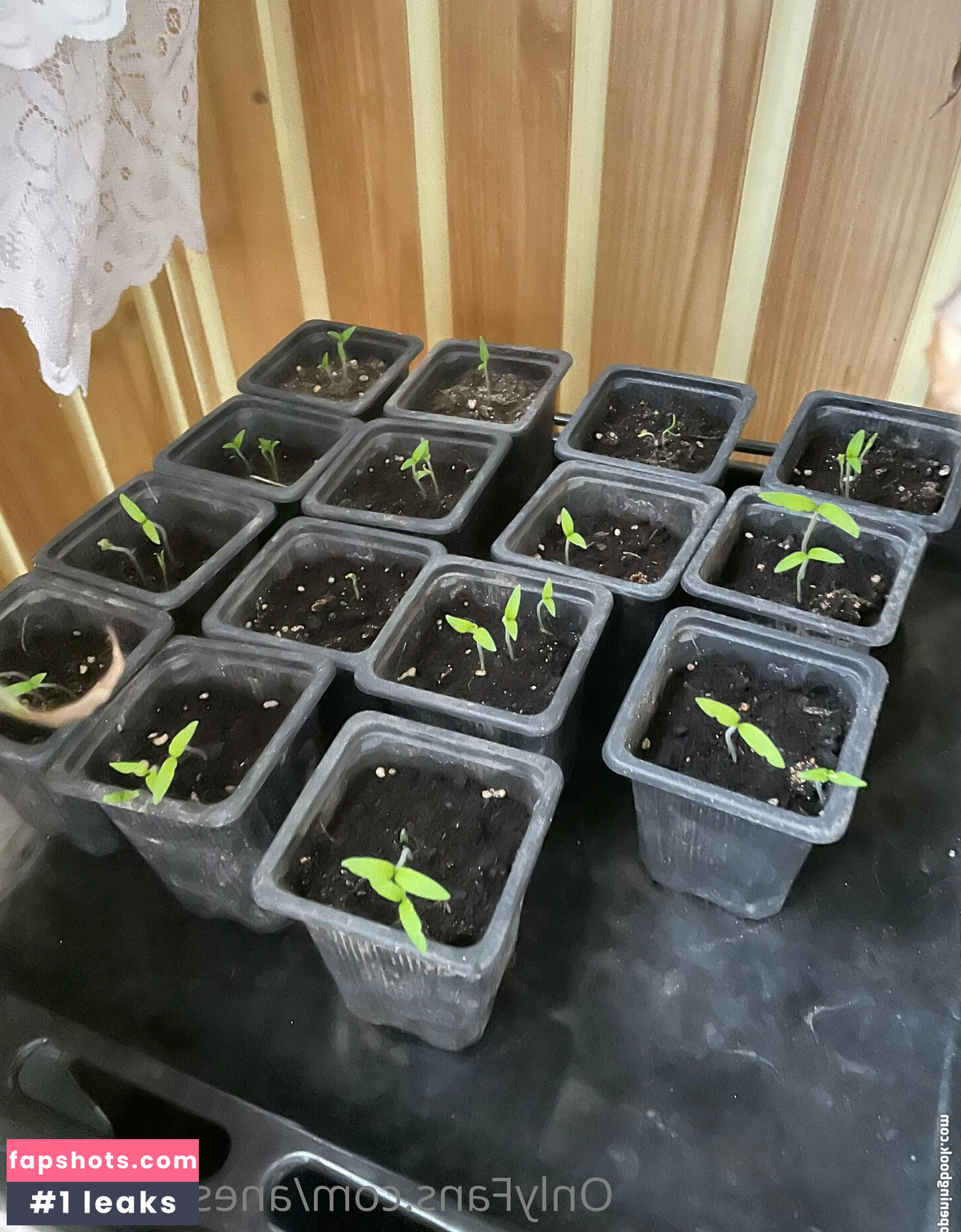 aneshereforu gallery photo #14