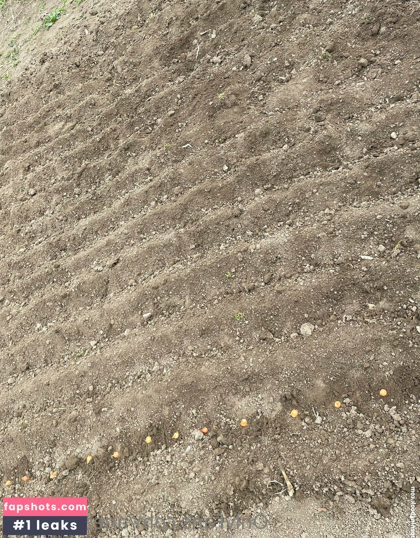 aneshereforu gallery photo #18