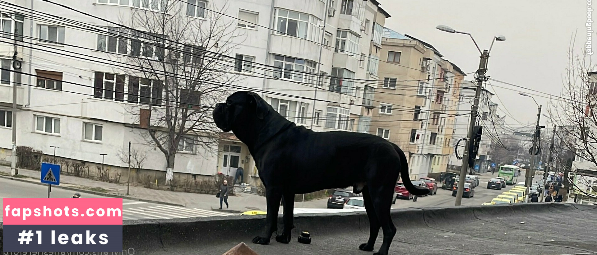 aneshereforu gallery photo #28