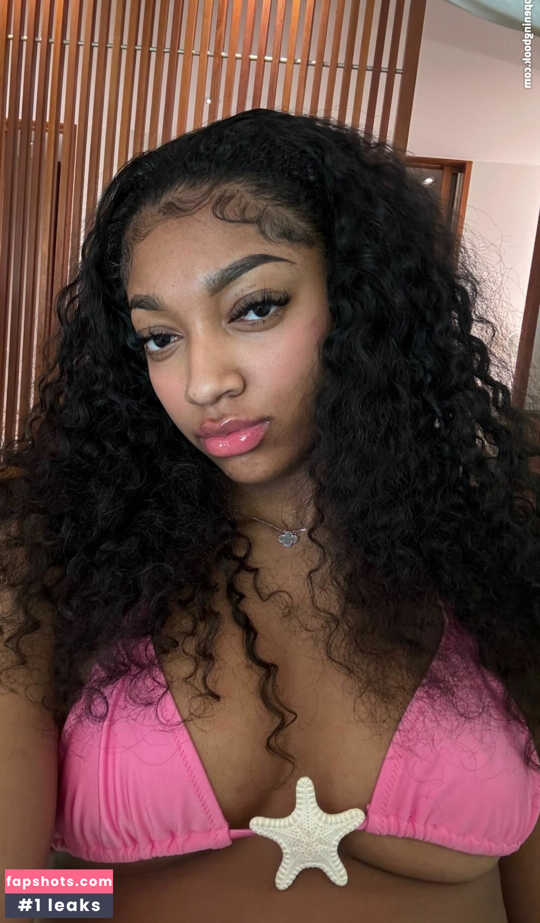 Angel Reese Nacktheit OnlyFans Fotos #100 - Fapshots