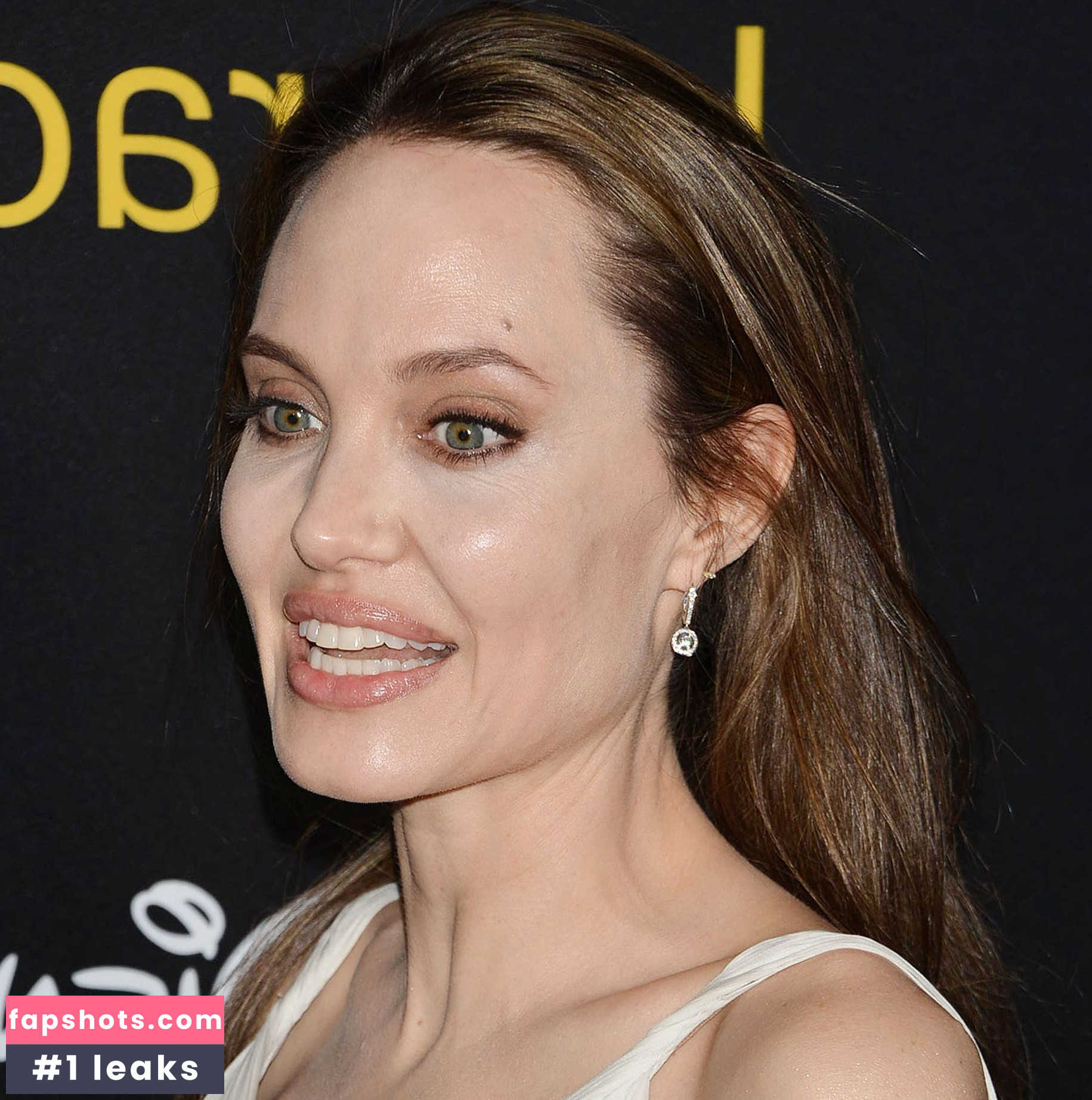 Angelina Jolie gallery photo #365