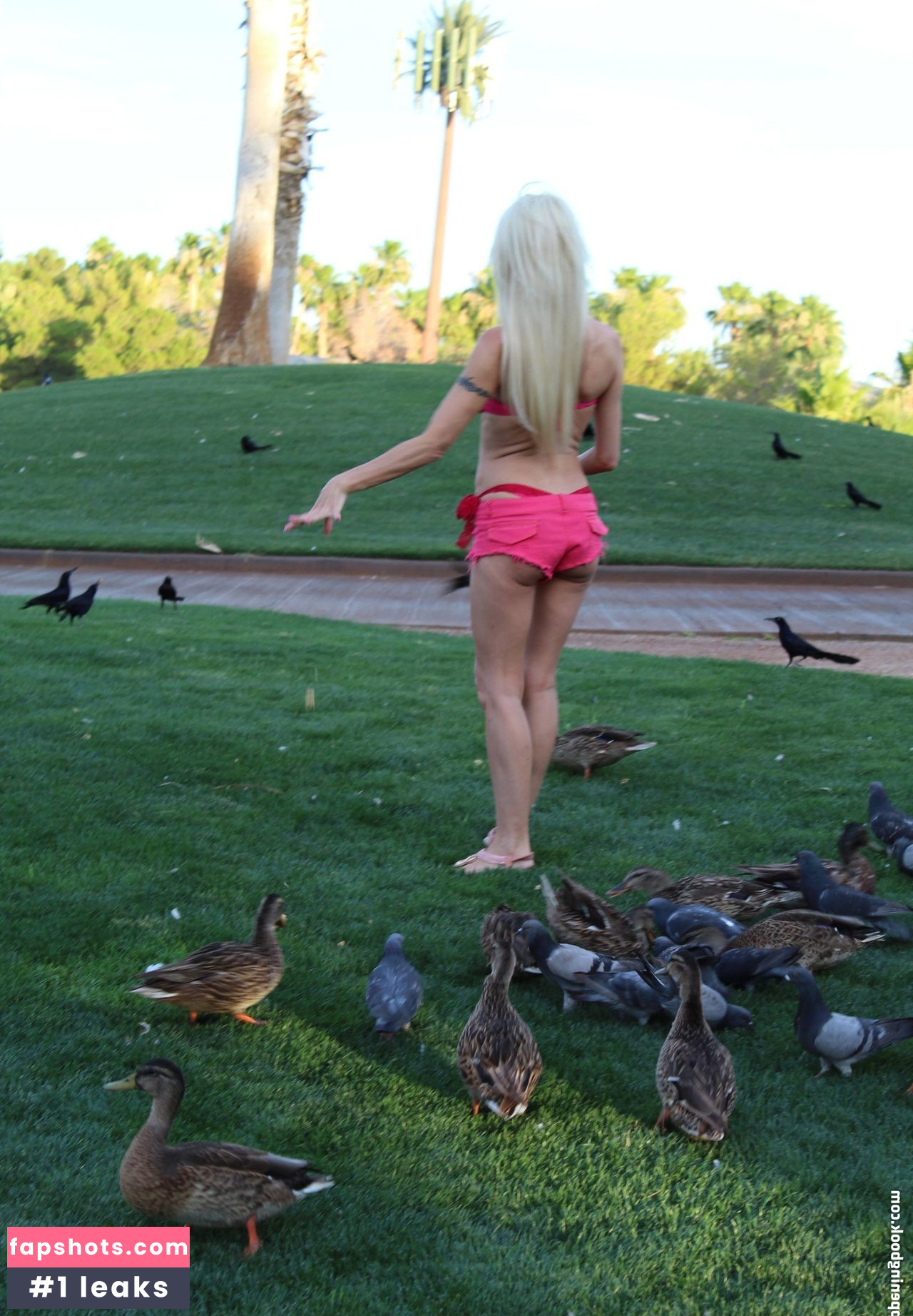 Angelique Morgan gallery photo #228