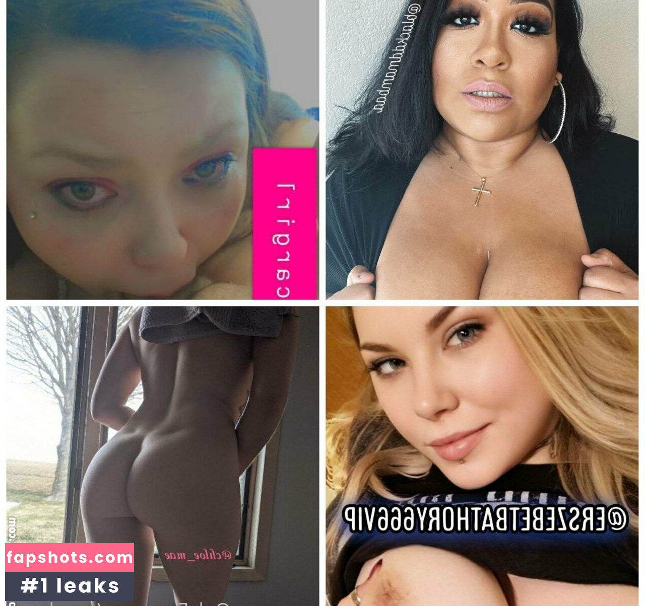 angelpaws gallery photo #18