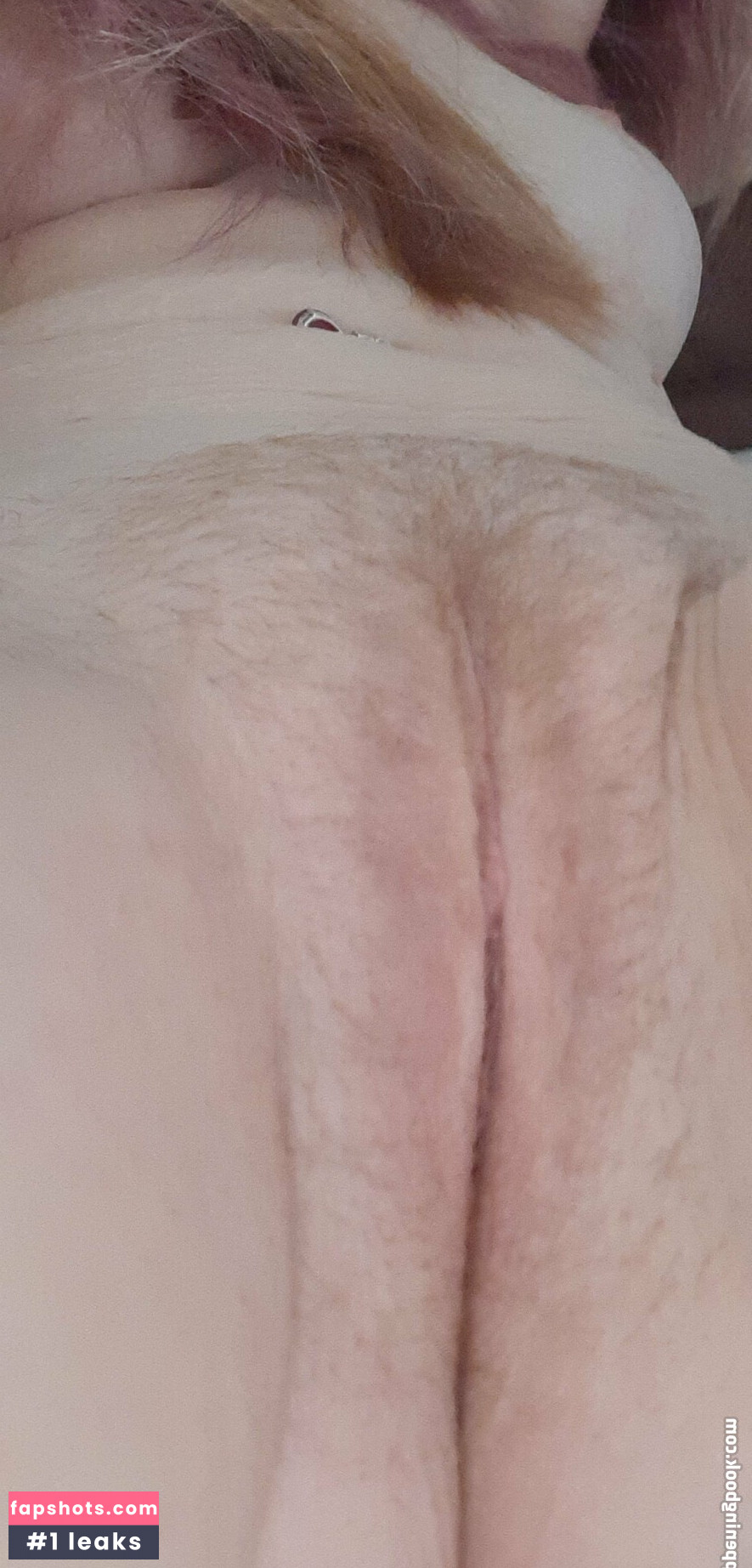 angelpaws gallery photo #24