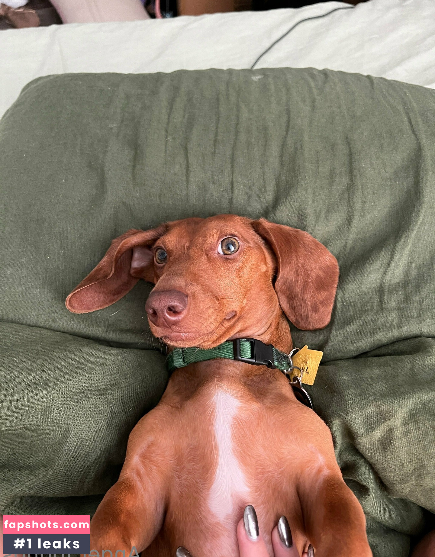 Angelyoungsxxx Nahé úniky fotek pouze od fanoušků #87 - Fapshots