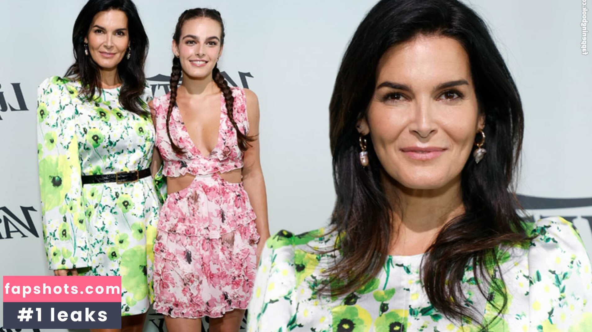 Angie Harmon Filtración Desnuda OnlyFans Foto #11 - Fapshots