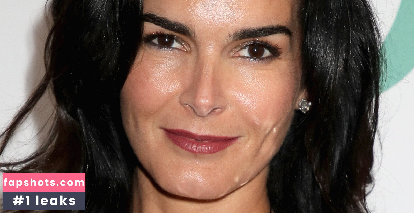 Angie Harmon Filtración Desnuda OnlyFans Foto #13 - Fapshots