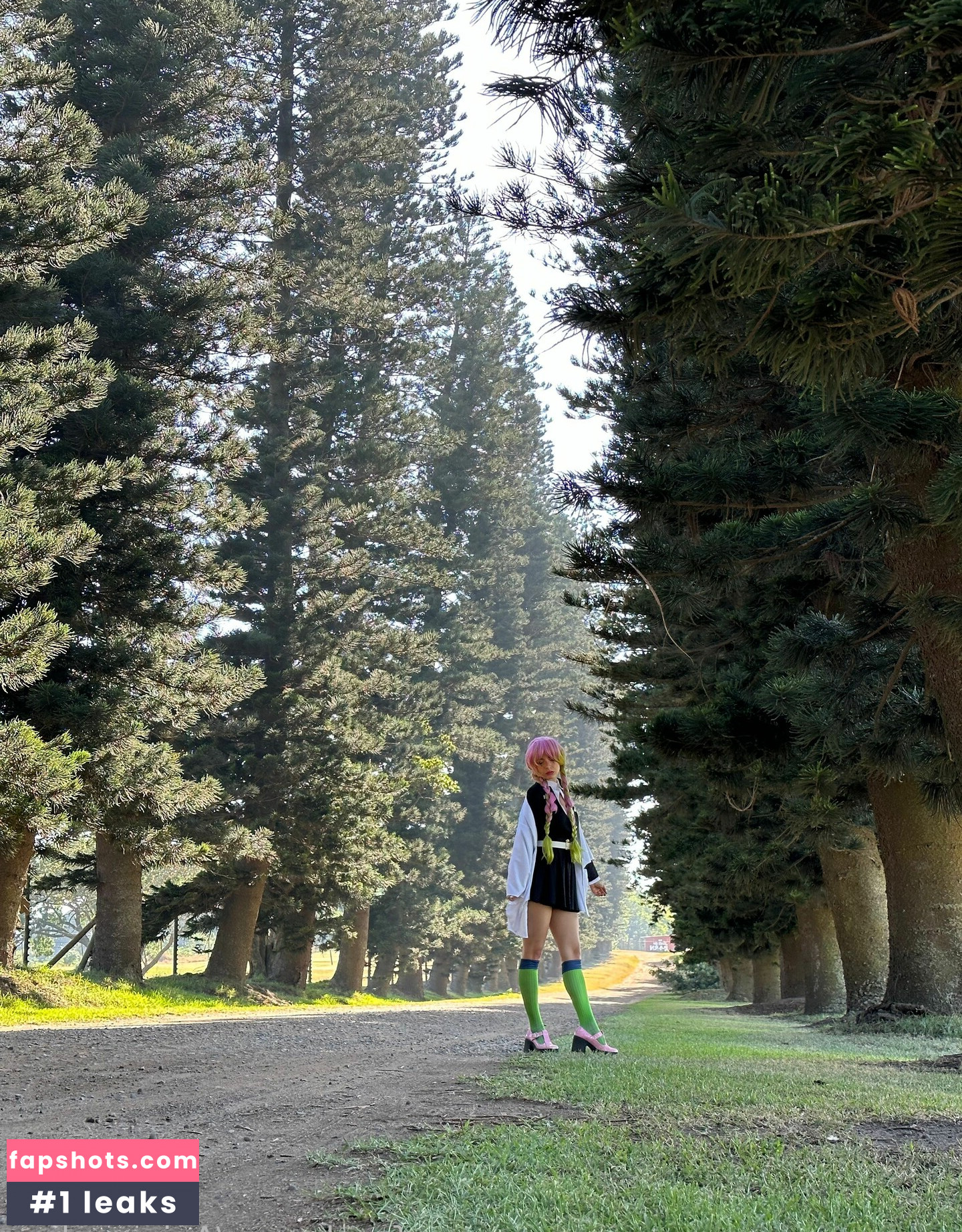 Animaechan gallery photo #16