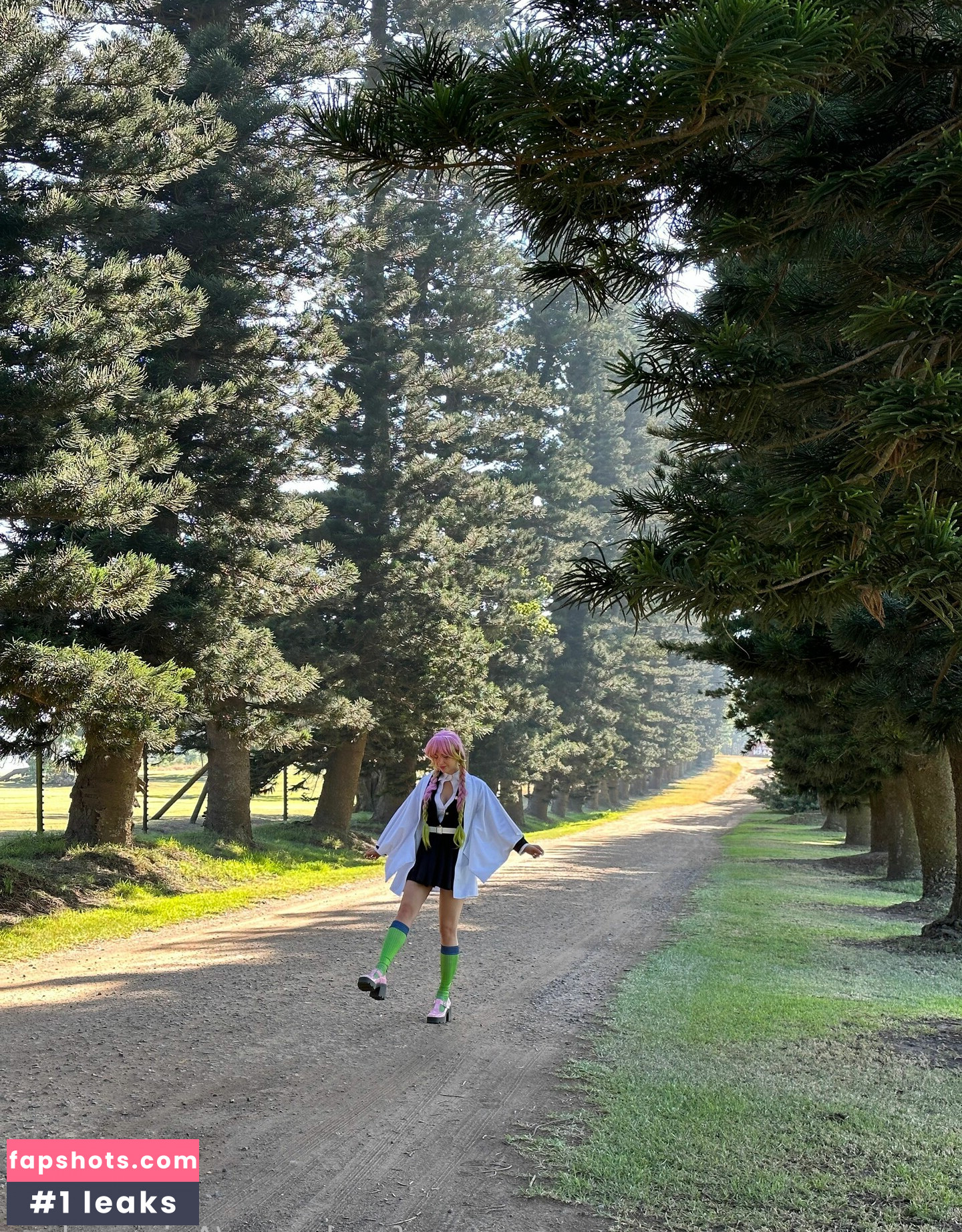 Animaechan gallery photo #17