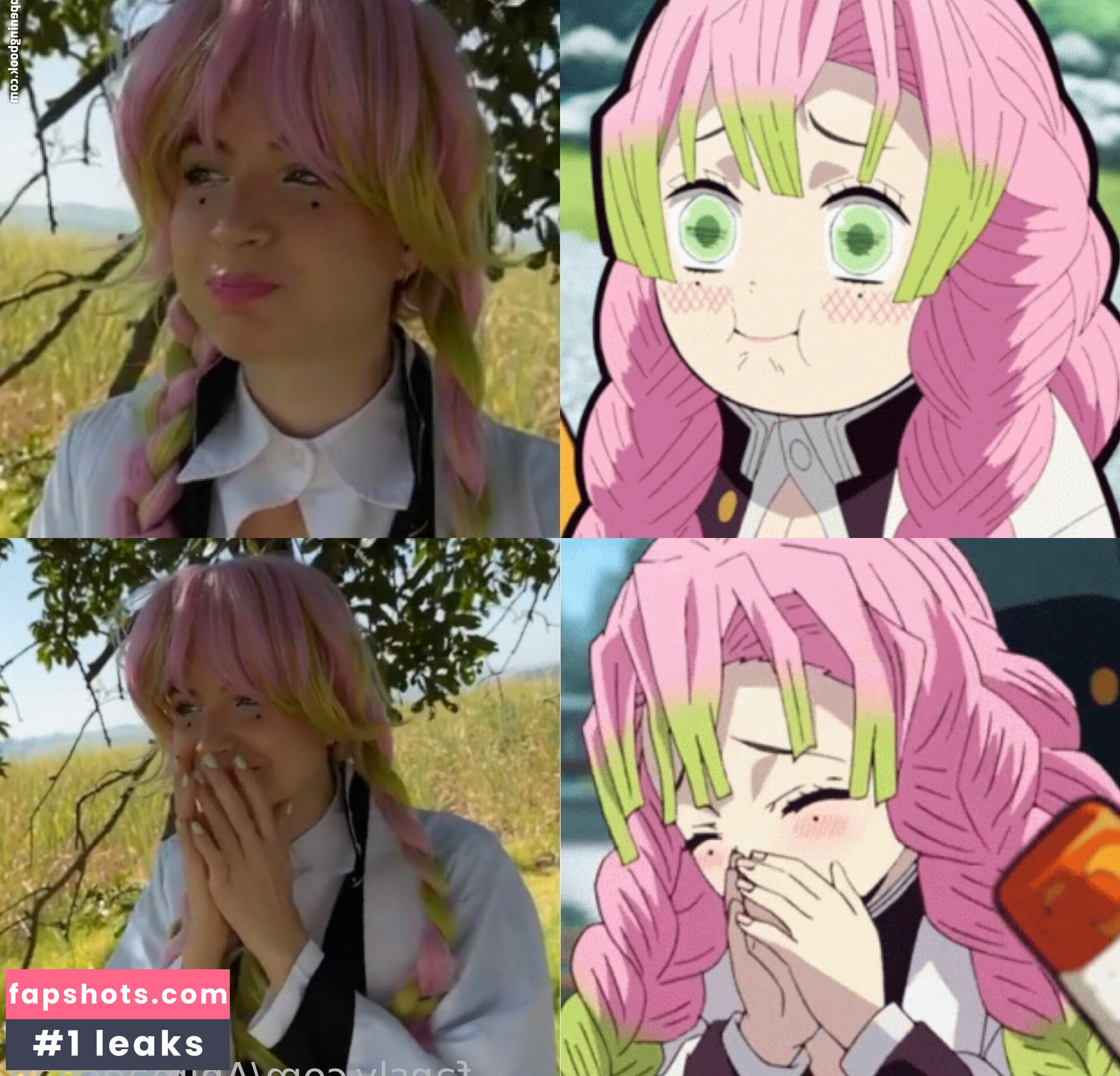 Animaechan gallery photo #21