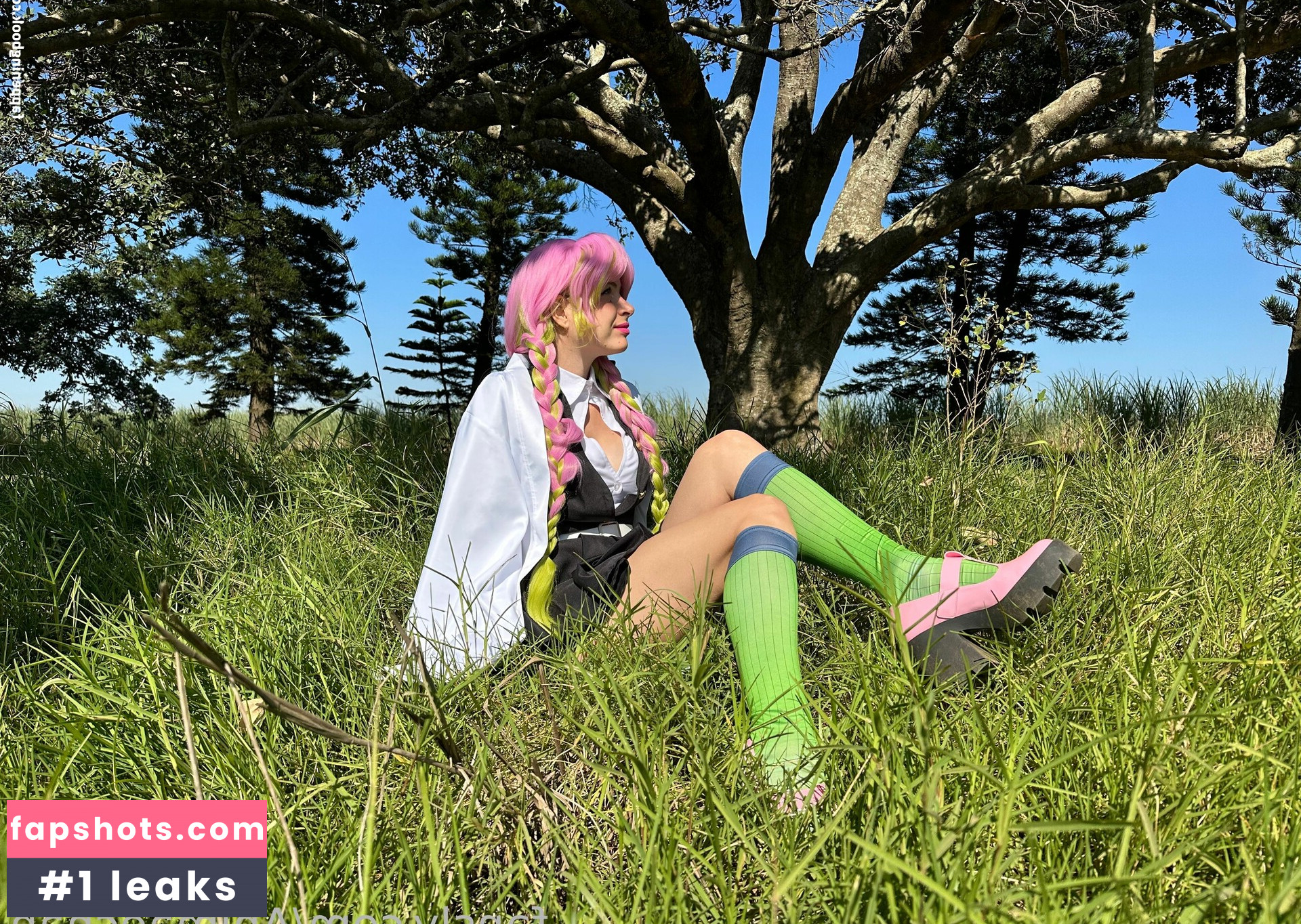 Animaechan gallery photo #23