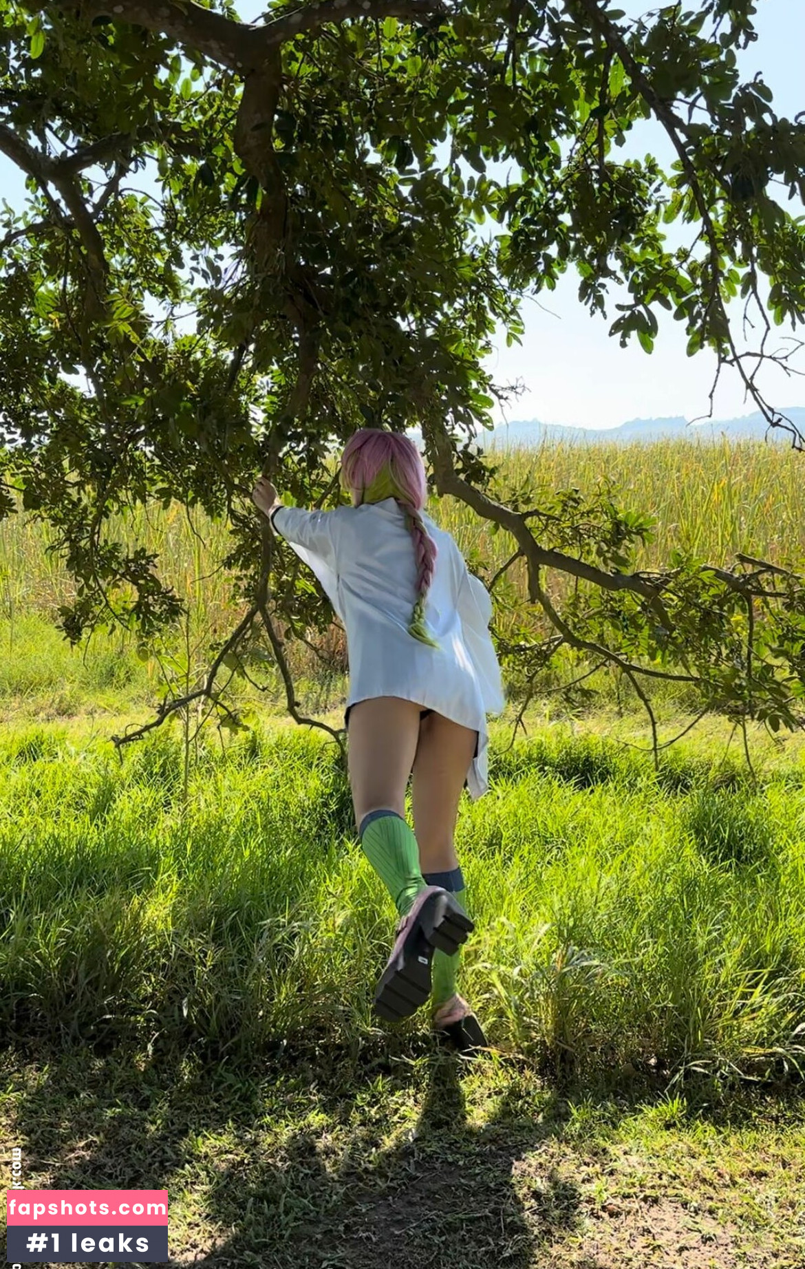 Animaechan gallery photo #25