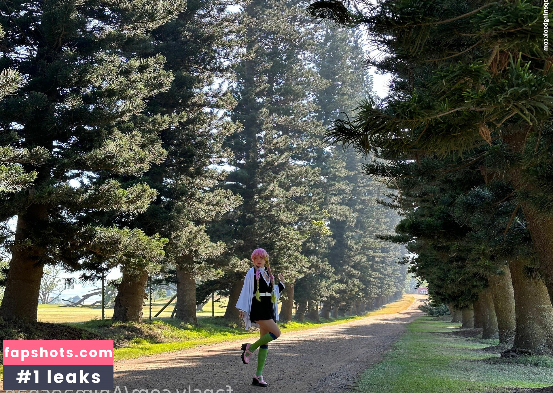 Animaechan gallery photo #26