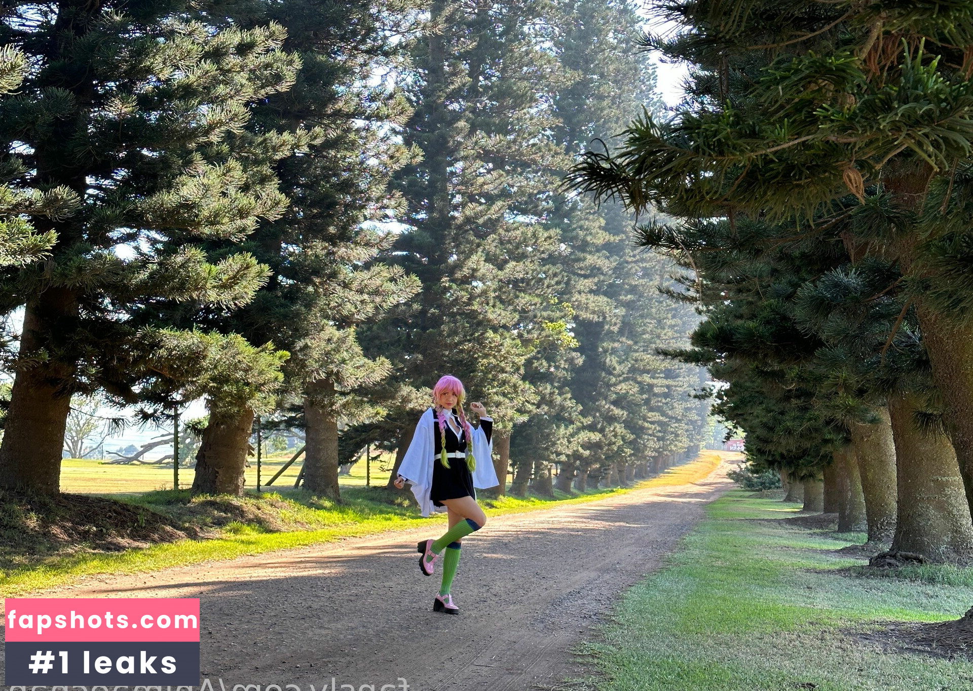 Animaechan gallery photo #28