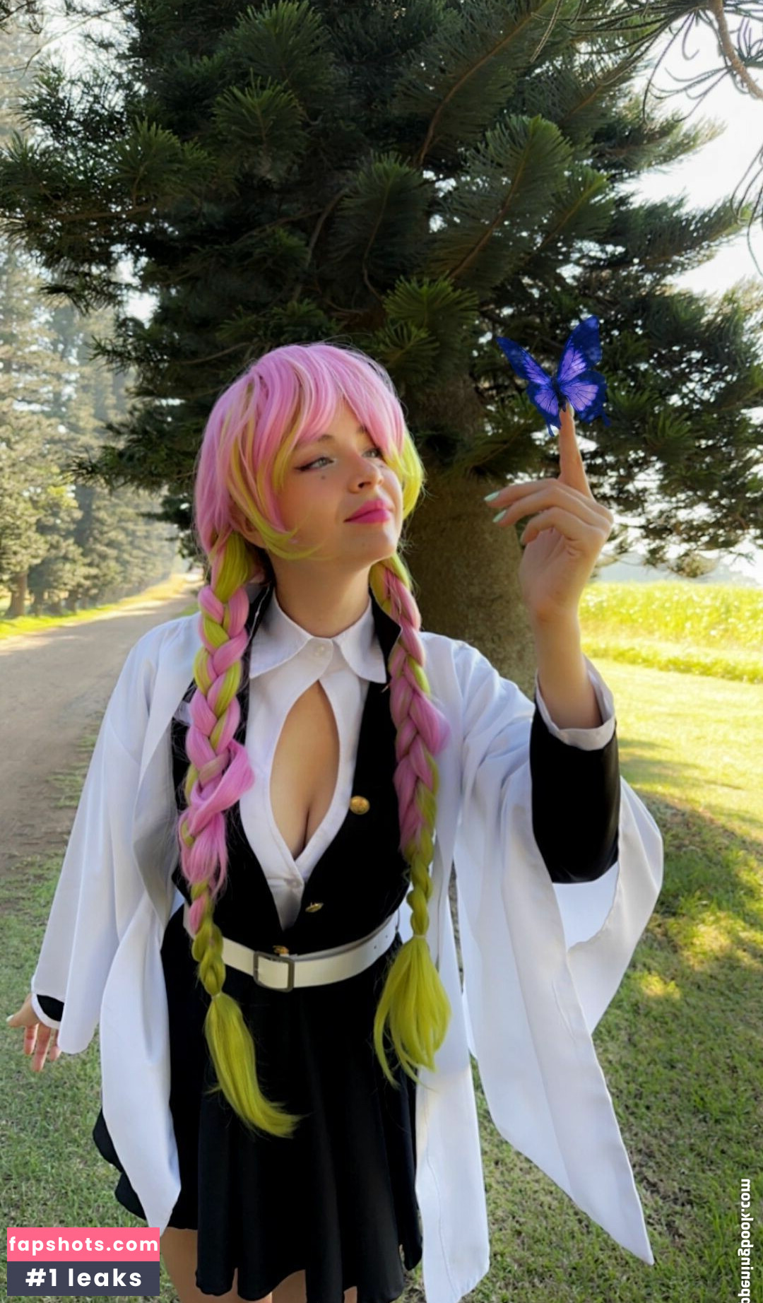 Animaechan gallery photo #29