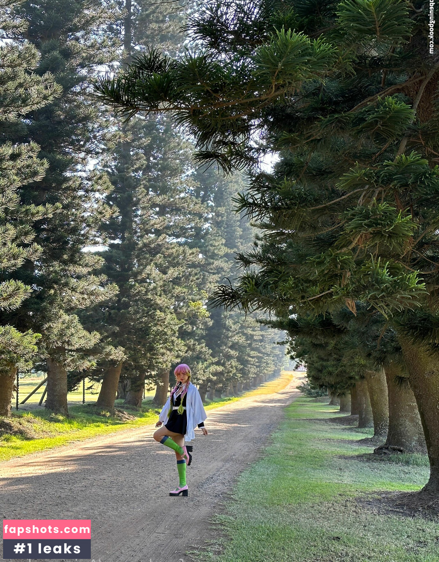 Animaechan gallery photo #30