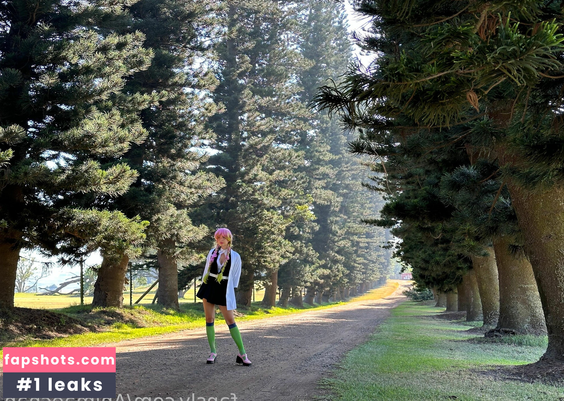 Animaechan gallery photo #31