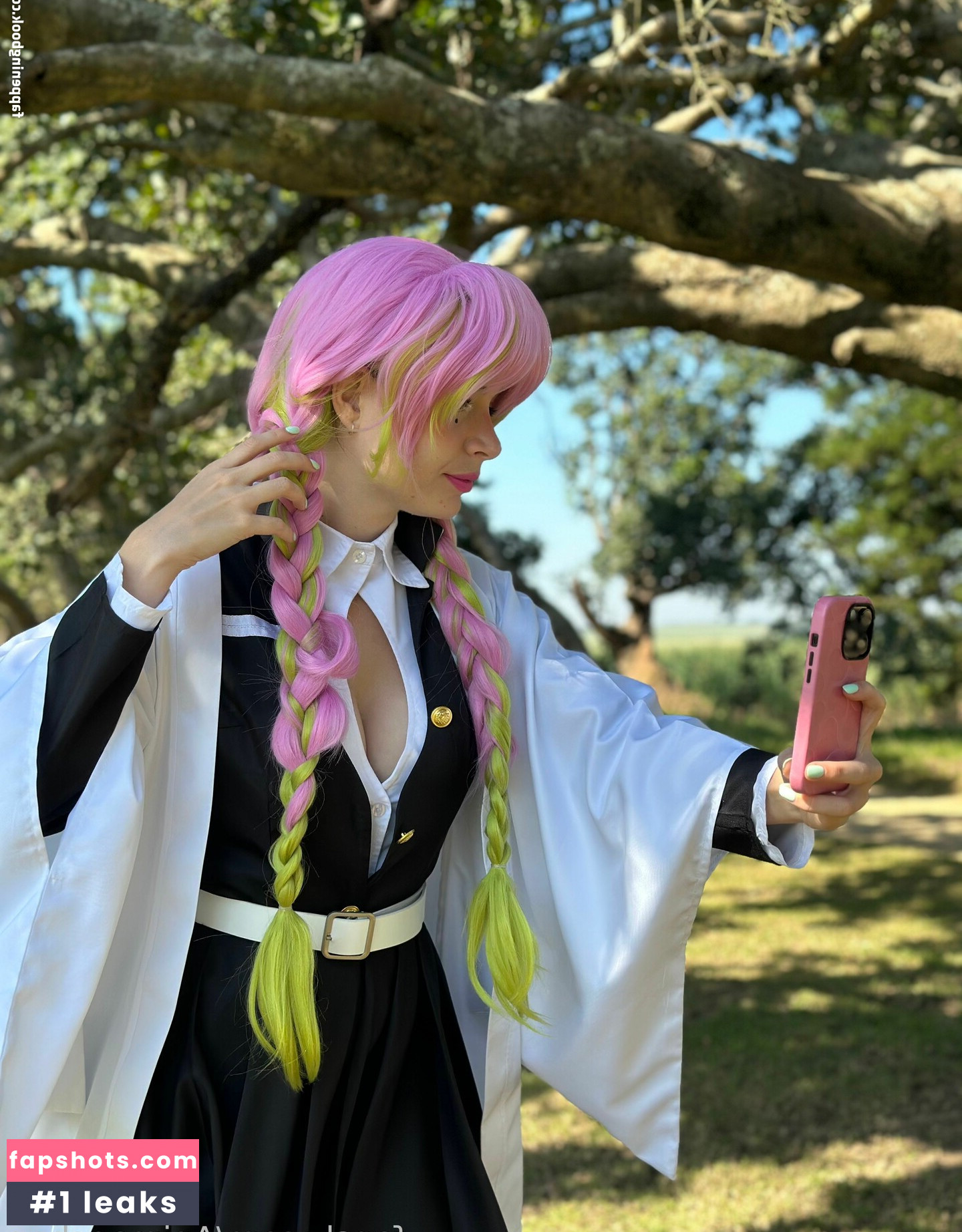 Animaechan gallery photo #34