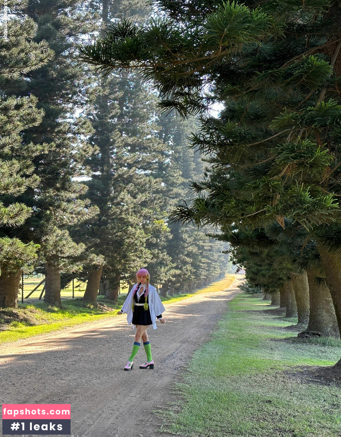 Animaechan gallery photo #35