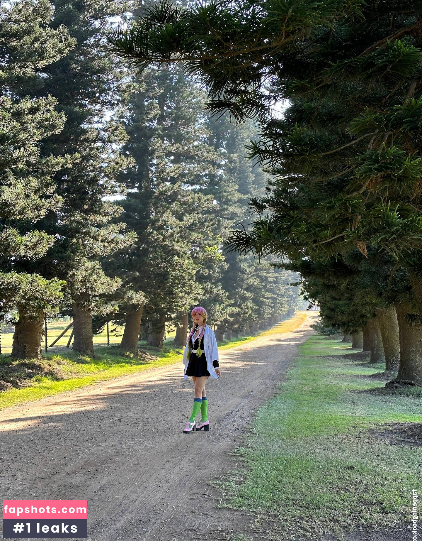 Animaechan gallery photo #36