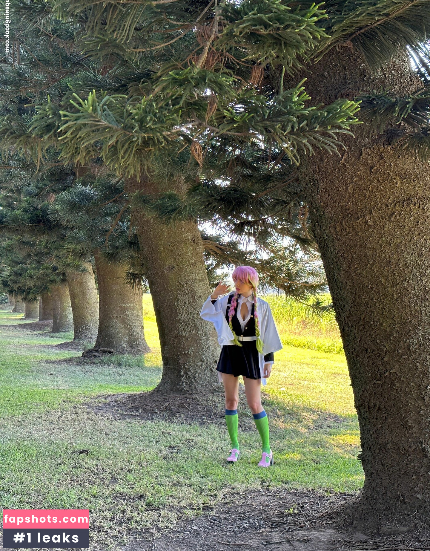 Animaechan gallery photo #37