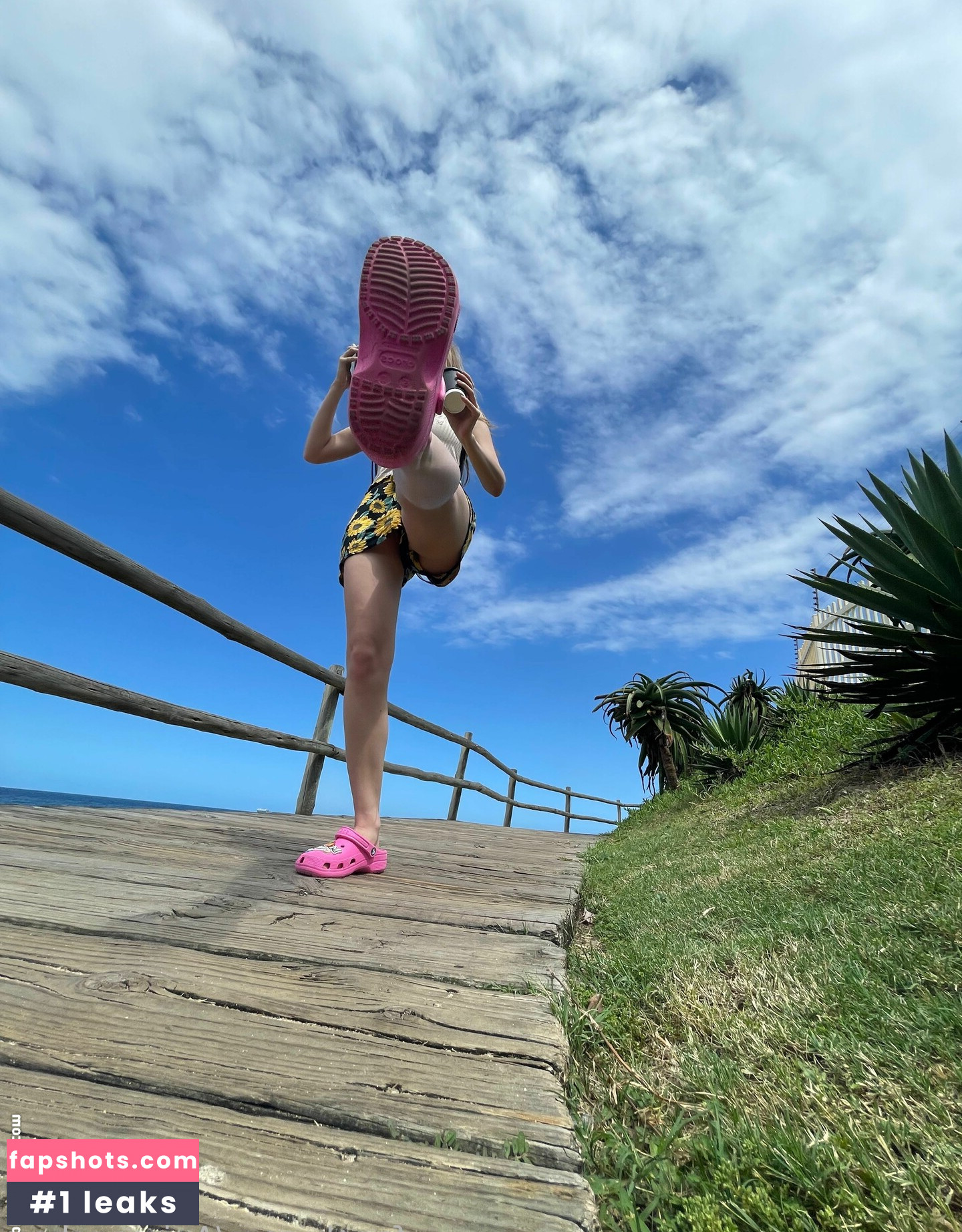 Animaechan gallery photo #48