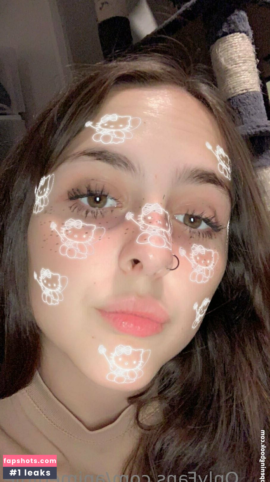 animegirlie Nacktheit OnlyFans Fotos #6 - Fapshots