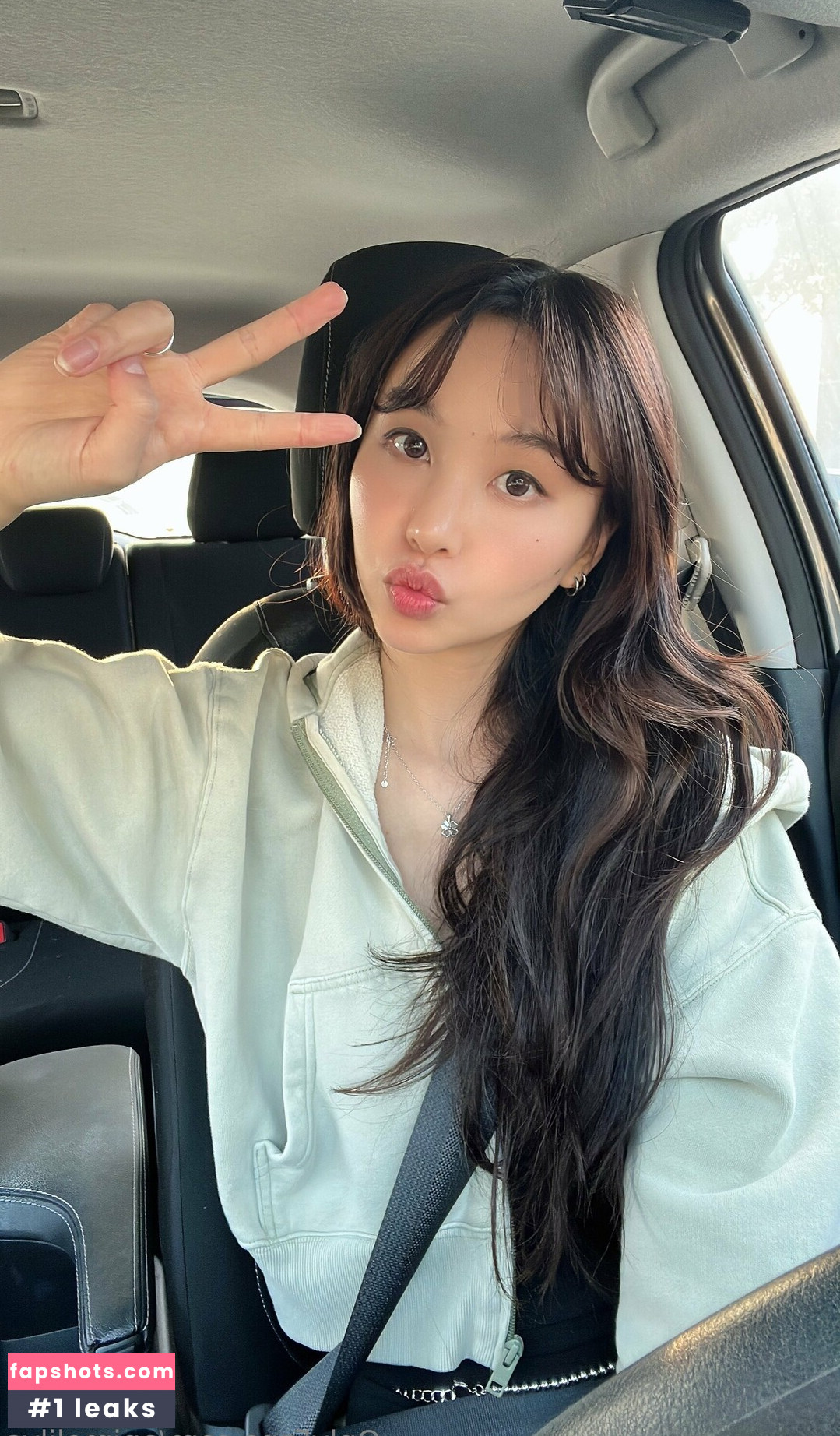 animelilys gallery photo #2