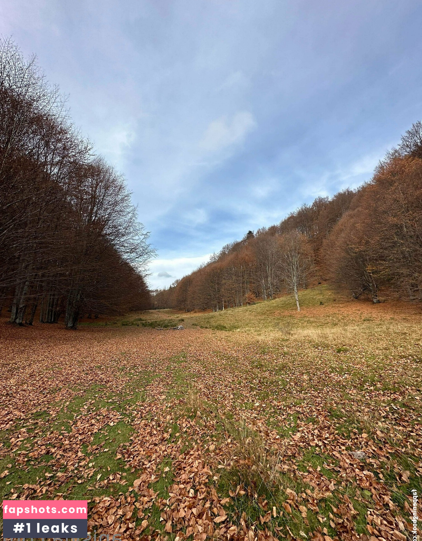 Anisyia nude babe gallery