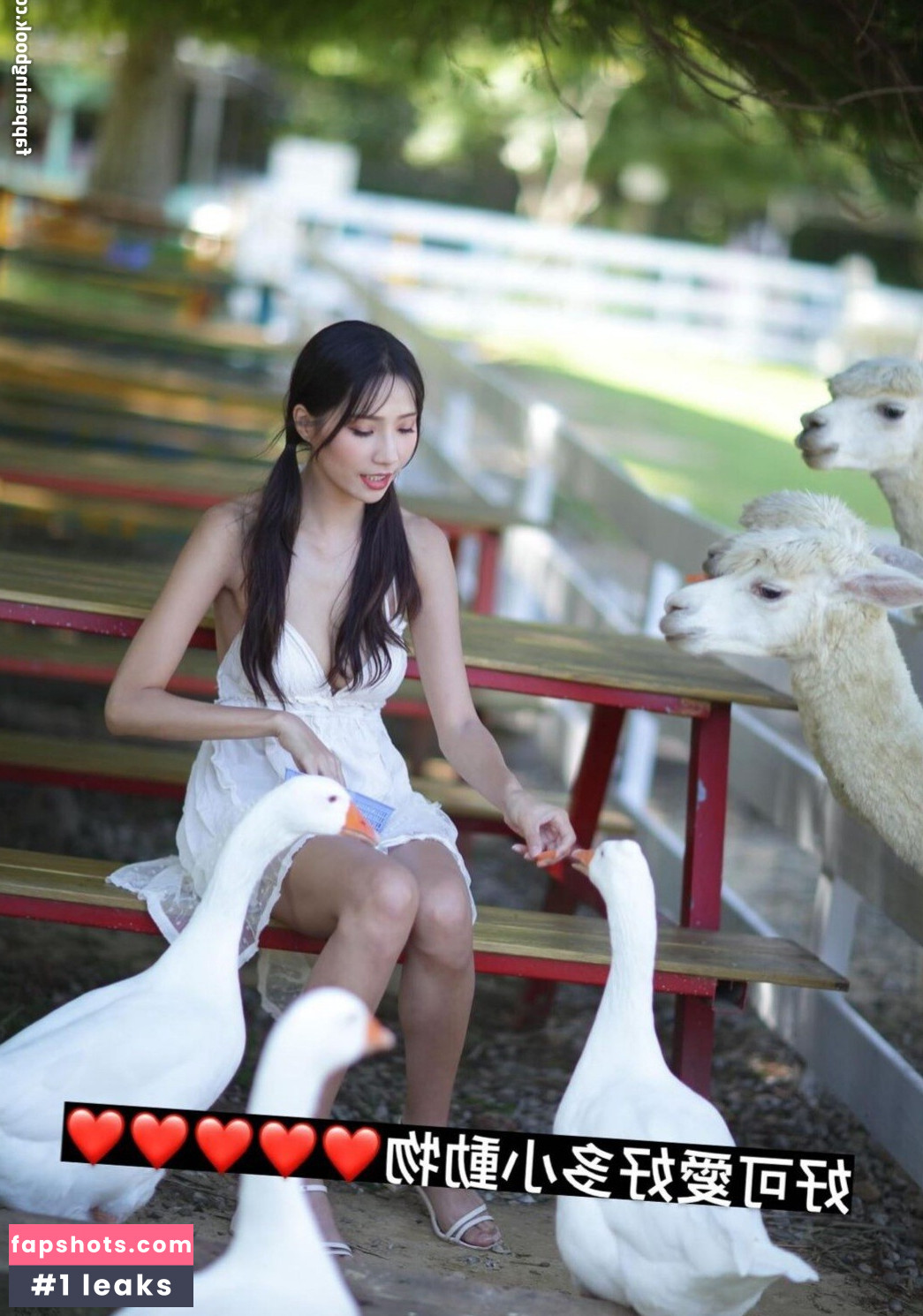 Anita Feifei gallery photo #460