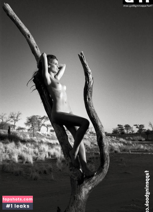 Ann Van Elsen gallery photo #13