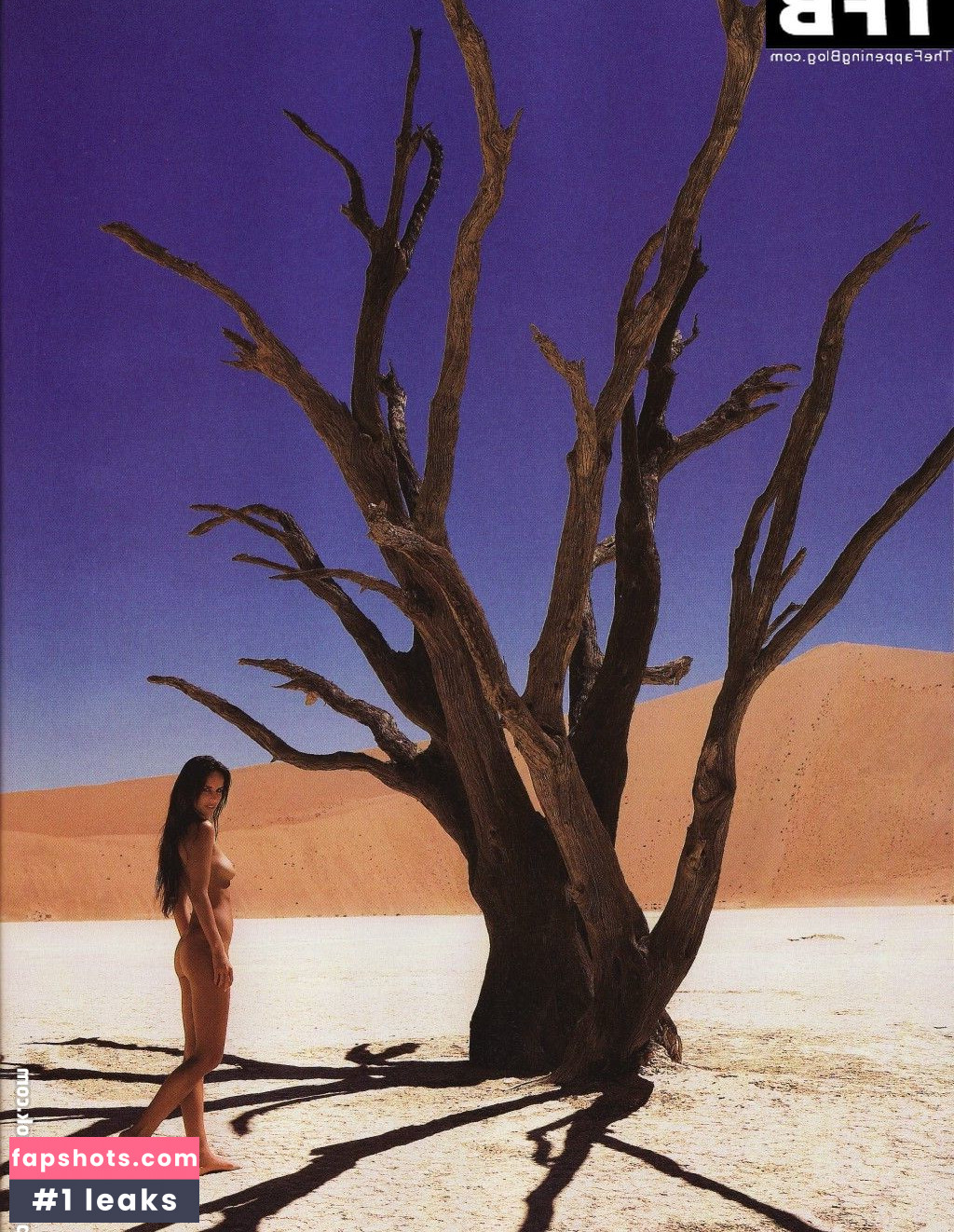 Ann Van Elsen gallery photo #18