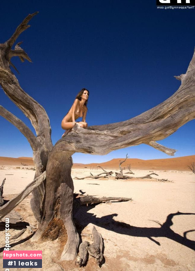 Ann Van Elsen gallery photo #5