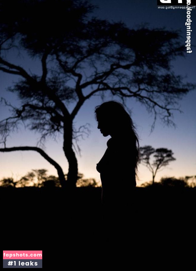 Ann Van Elsen gallery photo #6