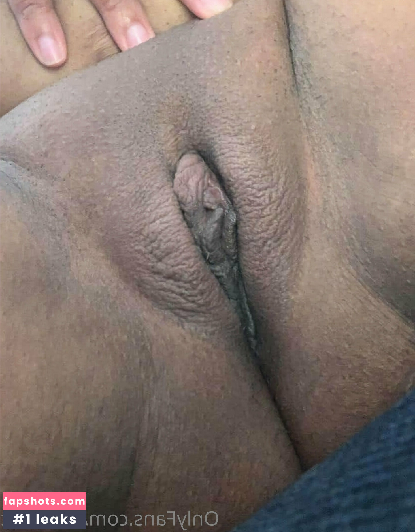 annabuc gallery photo #6