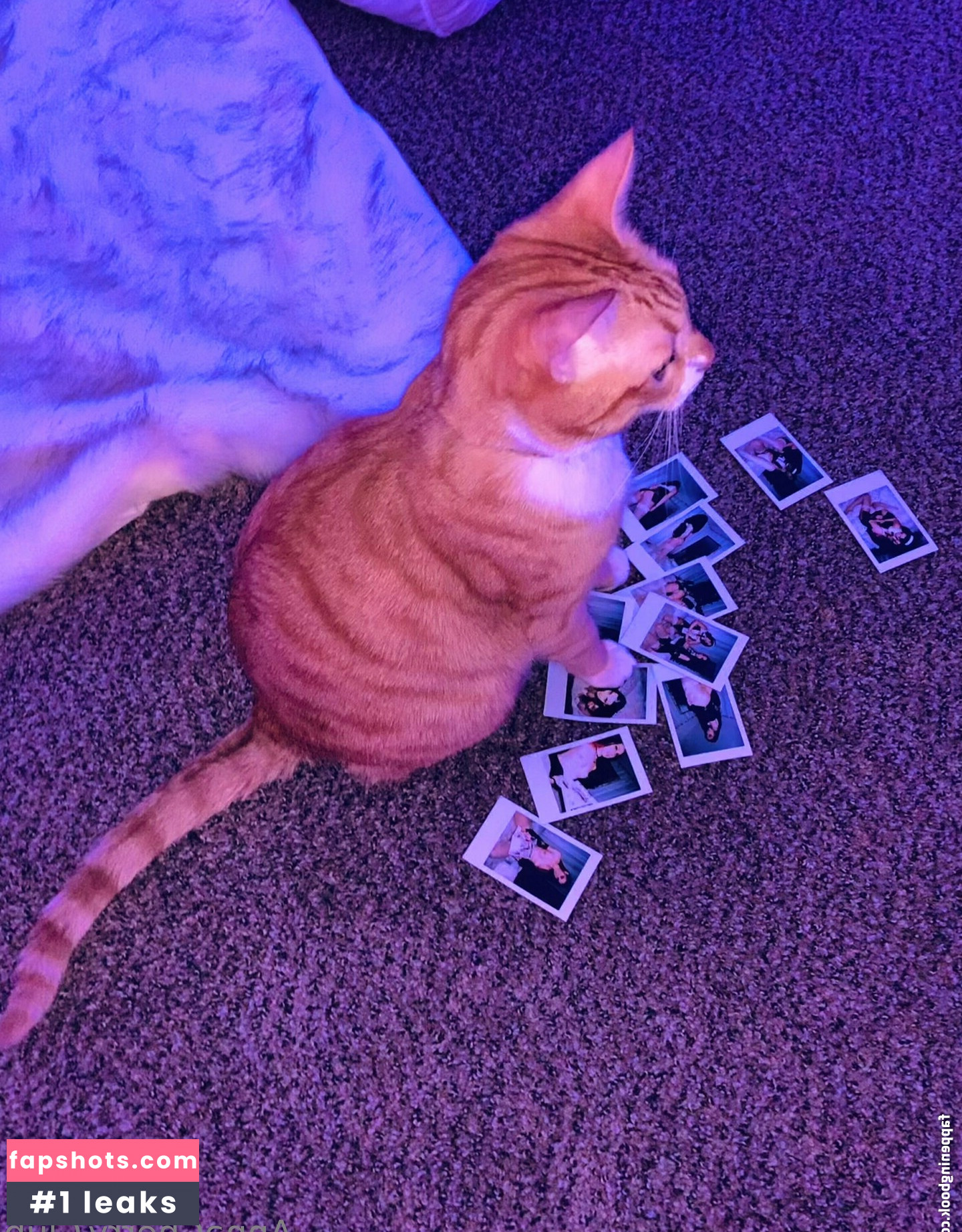 annacherrylive Nude Leaks OnlyFans Photos #29 - LeakJerk