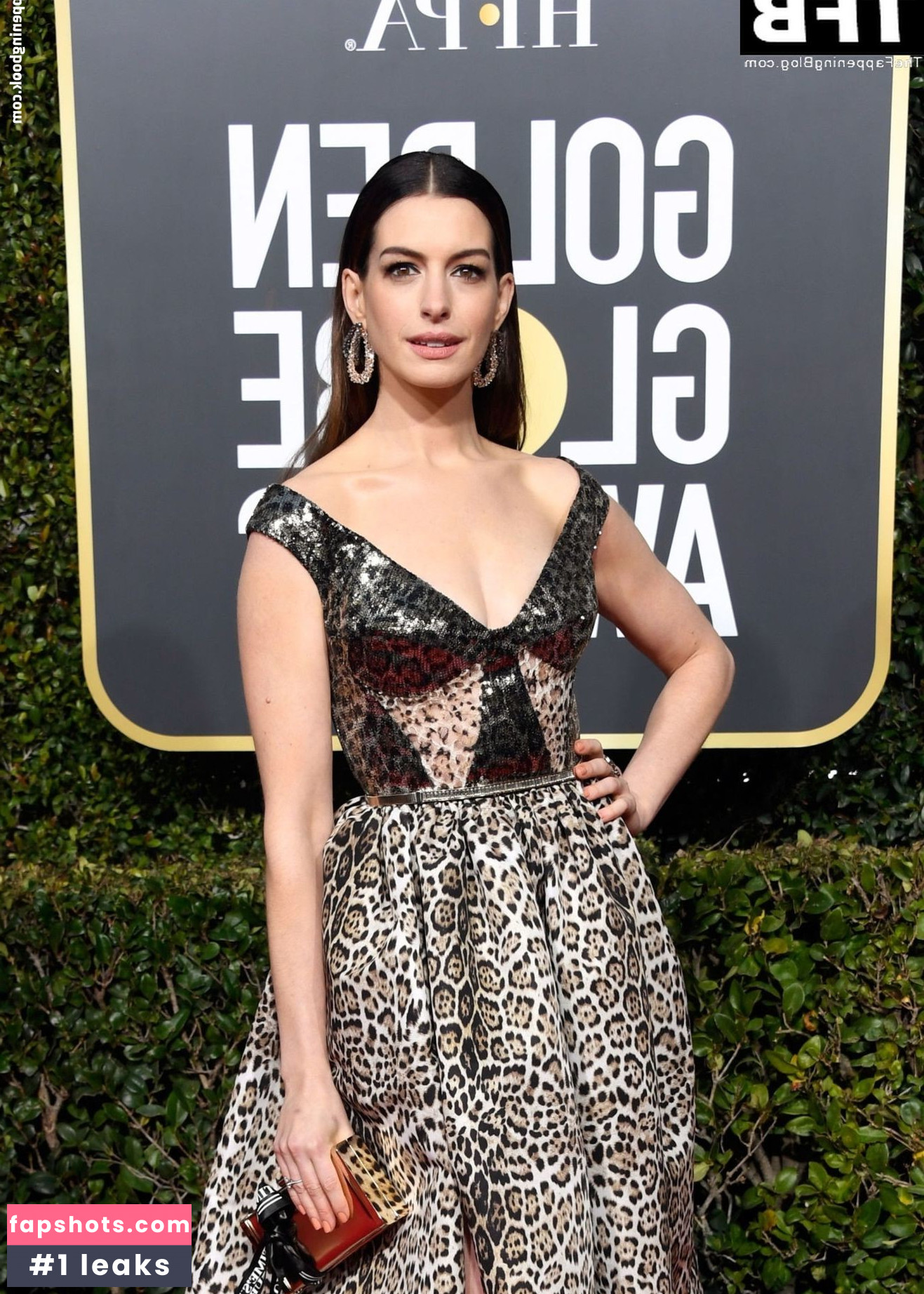 Anne Hathaway gallery photo #1351