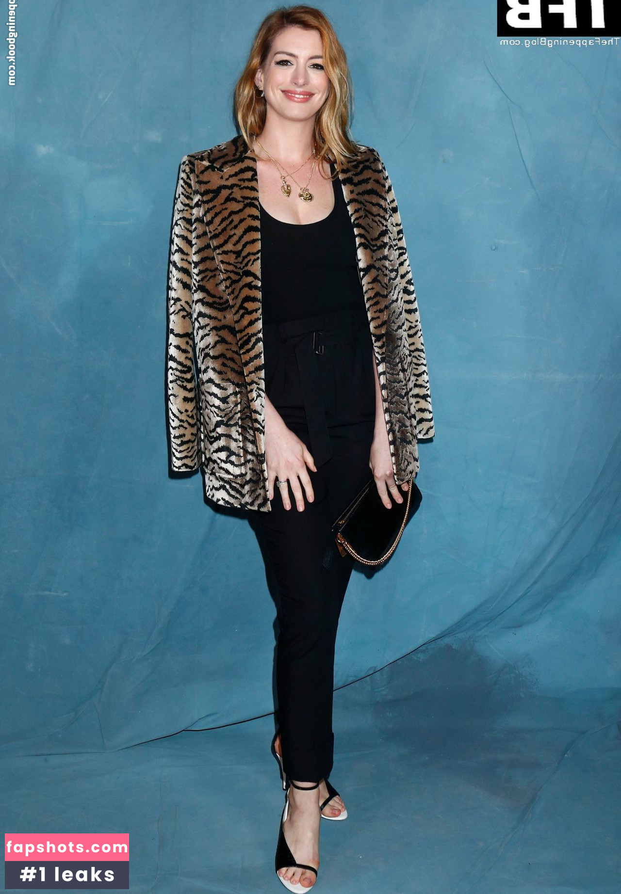 Anne Hathaway gallery photo #1353