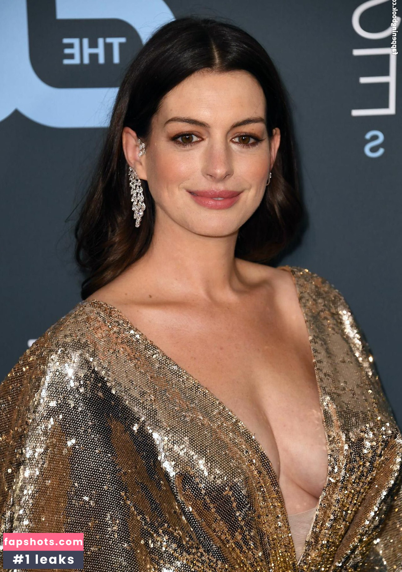 Anne Hathaway gallery photo #1447