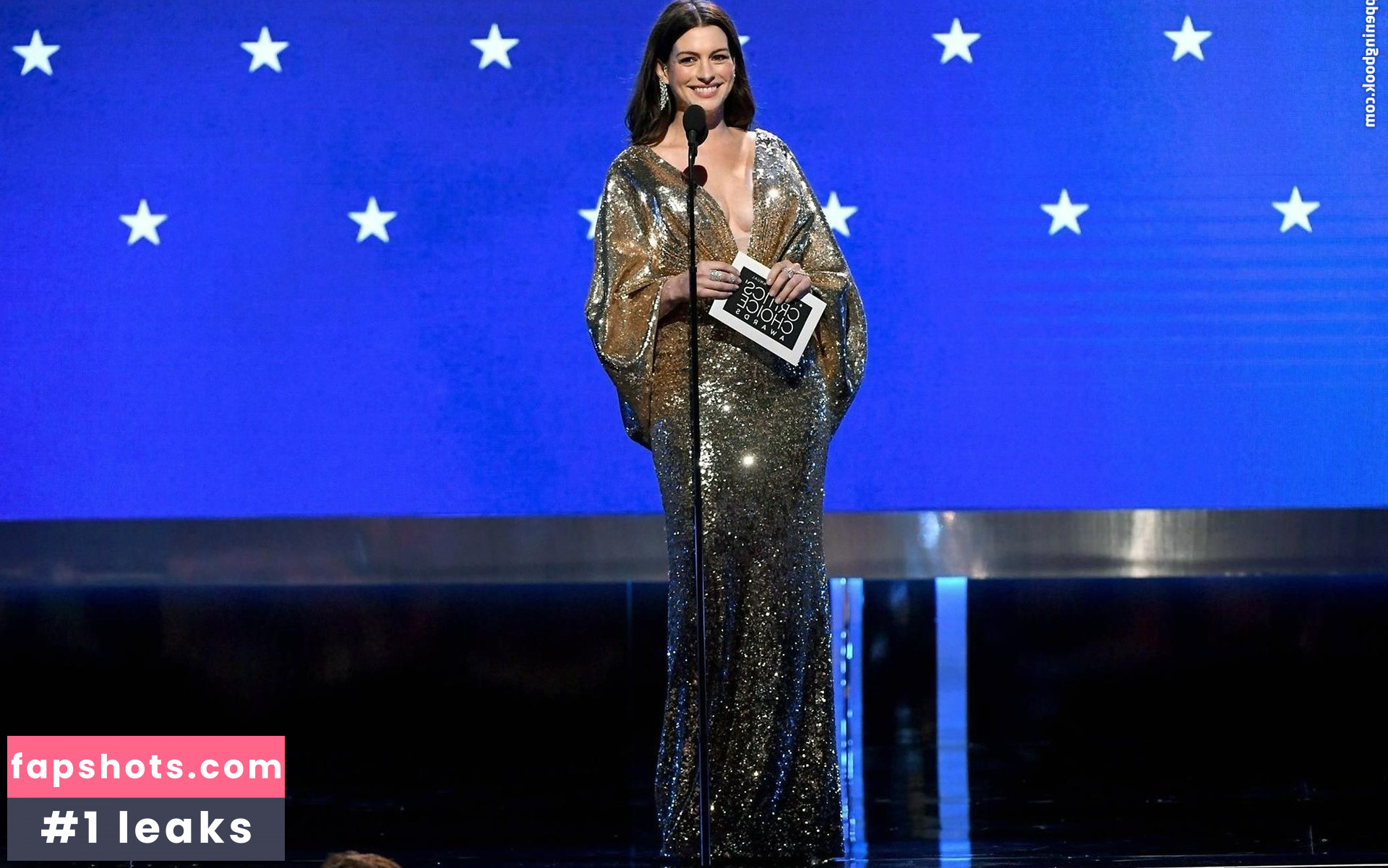 Anne Hathaway gallery photo #1454