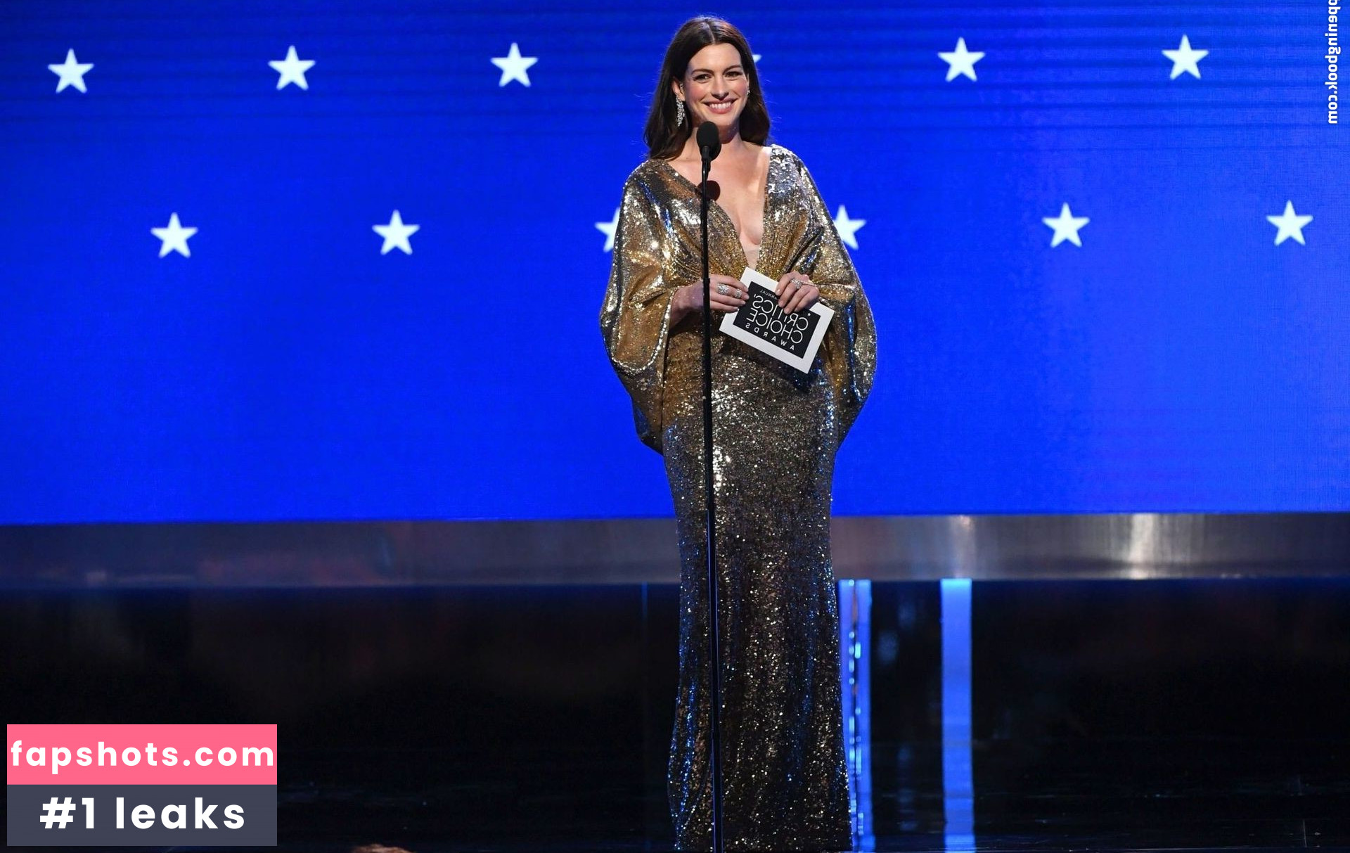 Anne Hathaway gallery photo #1608